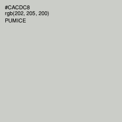 #CACDC8 - Pumice Color Image