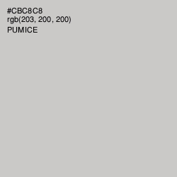 #CBC8C8 - Pumice Color Image
