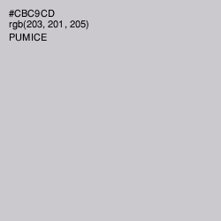 #CBC9CD - Pumice Color Image