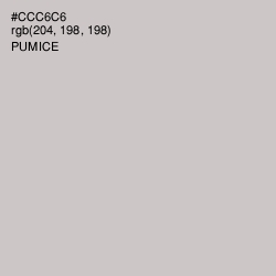 #CCC6C6 - Pumice Color Image