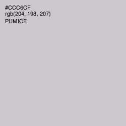 #CCC6CF - Pumice Color Image