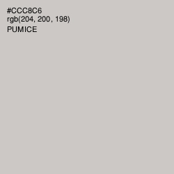 #CCC8C6 - Pumice Color Image