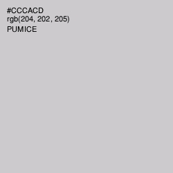 #CCCACD - Pumice Color Image
