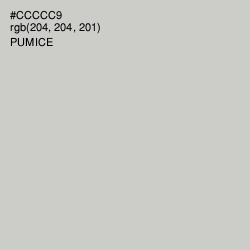 #CCCCC9 - Pumice Color Image