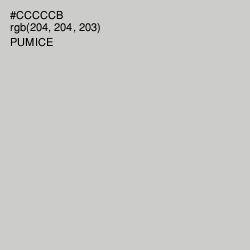 #CCCCCB - Pumice Color Image