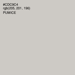 #CDC9C4 - Pumice Color Image