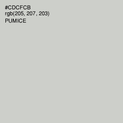 #CDCFCB - Pumice Color Image