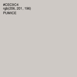 #CEC9C4 - Pumice Color Image