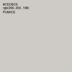 #CECBC6 - Pumice Color Image
