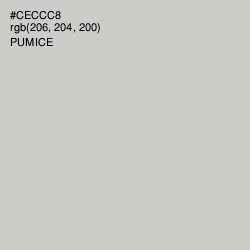 #CECCC8 - Pumice Color Image
