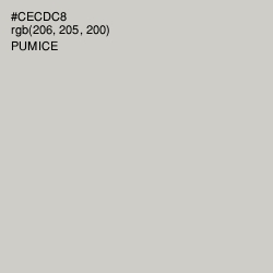 #CECDC8 - Pumice Color Image