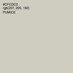#CFCDC0 - Pumice Color Image