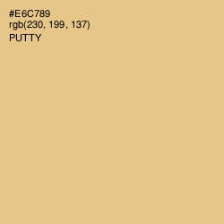 #E6C789 - Putty Color Image