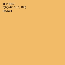 #F2BB67 - Rajah Color Image
