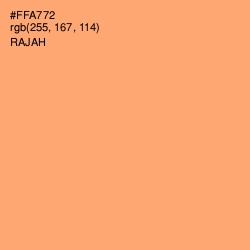 #FFA772 - Rajah Color Image