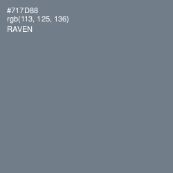 #717D88 - Raven Color Image