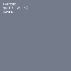 #747C8C - Raven Color Image