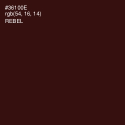 #36100E - Rebel Color Image