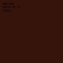 #36140B - Rebel Color Image