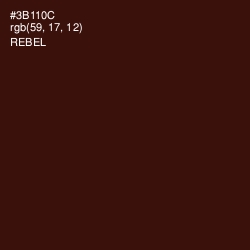 #3B110C - Rebel Color Image