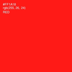 #FF1A18 - Red Color Image