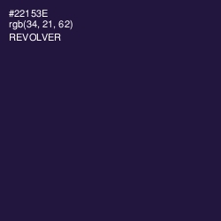 #22153E - Revolver Color Image