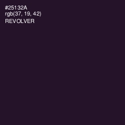 #25132A - Revolver Color Image