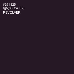 #261825 - Revolver Color Image