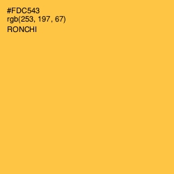 #FDC543 - Ronchi Color Image