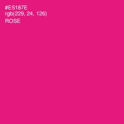 #E5187E - Rose Color Image