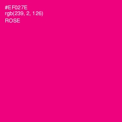 #EF027E - Rose Color Image