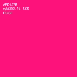 #FD127B - Rose Color Image