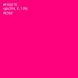 #FE027E - Rose Color Image