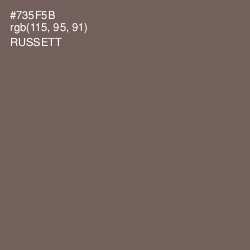 #735F5B - Russett Color Image