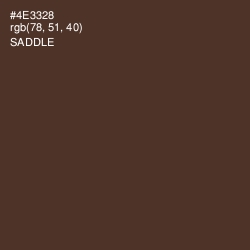 #4E3328 - Saddle Color Image