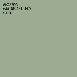 #9CAB93 - Sage Color Image