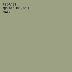 #9DA183 - Sage Color Image