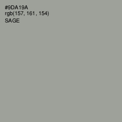 #9DA19A - Sage Color Image
