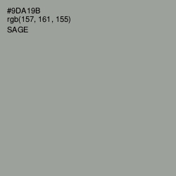 #9DA19B - Sage Color Image