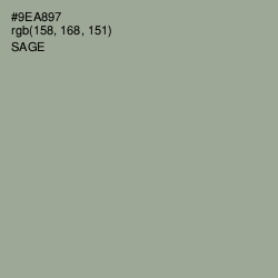 #9EA897 - Sage Color Image