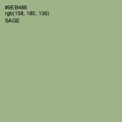 #9EB488 - Sage Color Image