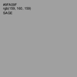 #9FA09F - Sage Color Image