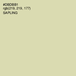#DBDBB1 - Sapling Color Image