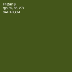 #45561B - Saratoga Color Image