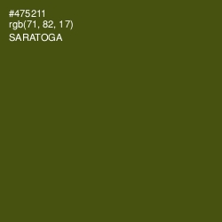 #475211 - Saratoga Color Image