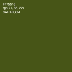 #475516 - Saratoga Color Image