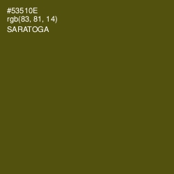 #53510E - Saratoga Color Image