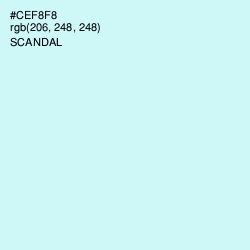 #CEF8F8 - Scandal Color Image