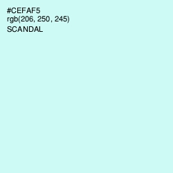 #CEFAF5 - Scandal Color Image