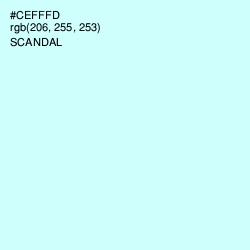 #CEFFFD - Scandal Color Image